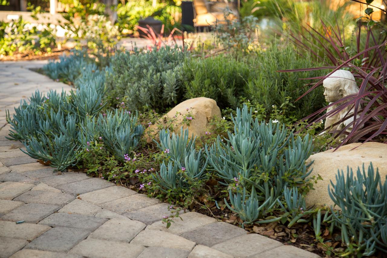 Cheshire Cat Inn & Cottages Santa Barbara Exterior foto
