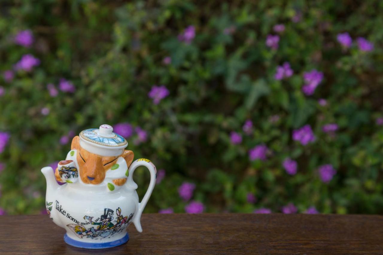 Cheshire Cat Inn & Cottages Santa Barbara Exterior foto
